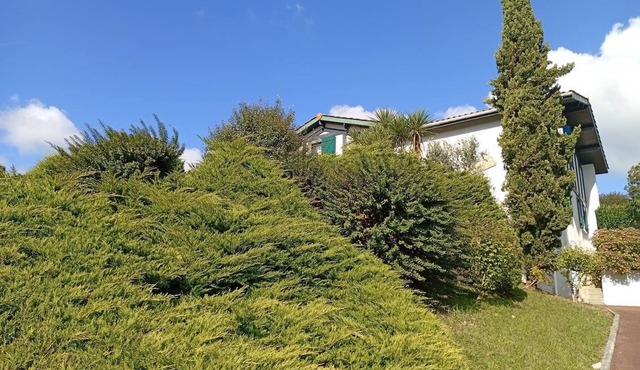 Sain Pée sur NivelleLAC, Maison pour 8 personnes au calme