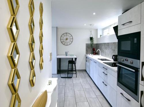 Saint-Étienne Bellevue Confort 1