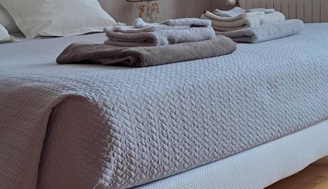 Saint-Amarand - Albi