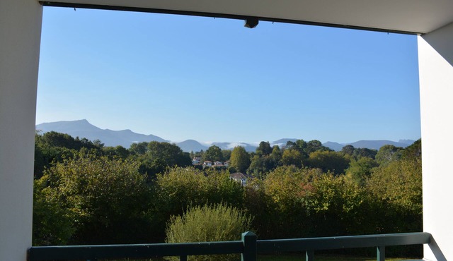 SAINT JEAN DE LUZ PLEASANT T2 TERRACE WITH RHUNE VIEW