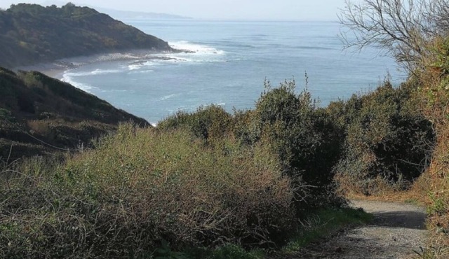 Saint-Jean de Luz / Acotz - the beach on foot - T3