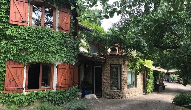 Saint Martin Le Vinoux: Apartment/flat - St Martin le vinoux