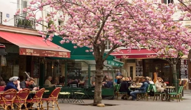 SAINT MANDE-A BEAUTIFUL PARISIAN RETREAT