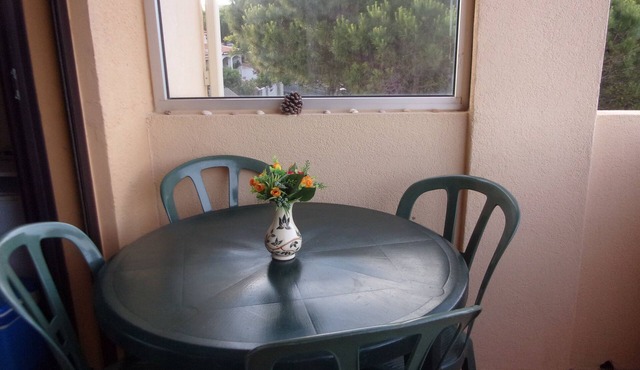 SAINT-PIERRE .T2 Beautiful Sea Face exhibition