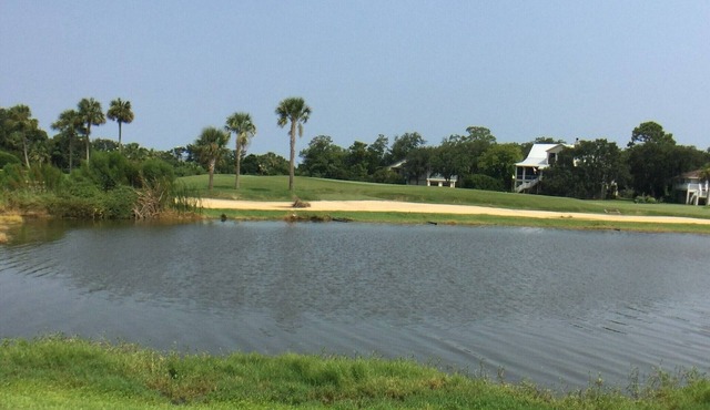 "Saintly" at Sea Palms 18th Green