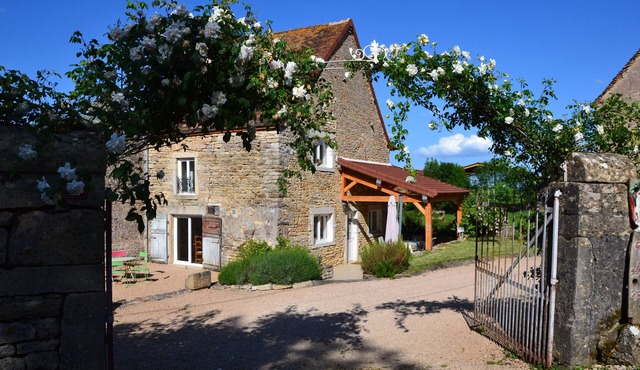 Salamander cottage