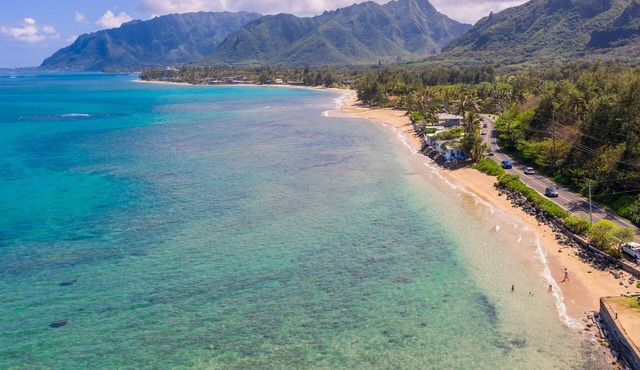 SALE April-May 2026: BEACHFRONT Luxe. Swim with turtles! 4 bed/3 bath AC