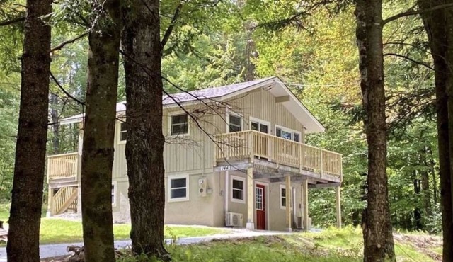 SALE! MUSIC on the Mountain! Come enjoy this cozy, renovated home by Okemo Mtn!