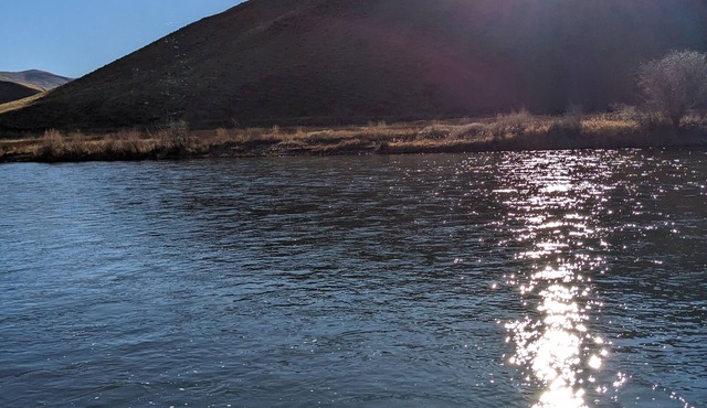 Salmon Riverfront HomenClose to Salmon and Challis. Fishing from back yard.