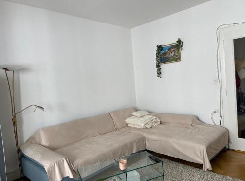 Salon lumineux avec TV et Canapé