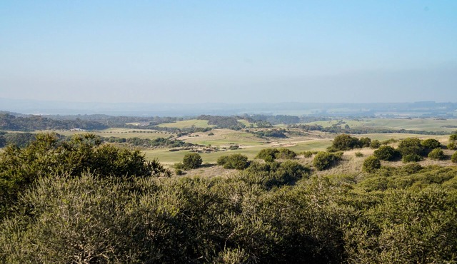 Salt Bush - Great views nestled in the moonahs