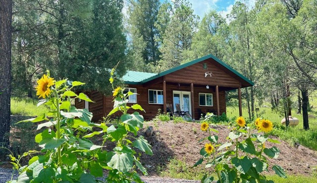 Salt Creek Cabin In The Gila