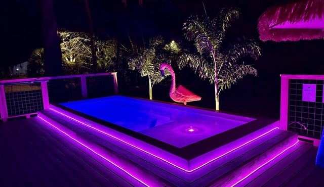 SaltwaterPool|DogOk|8PPL|OldHomosassa|FencedYard
