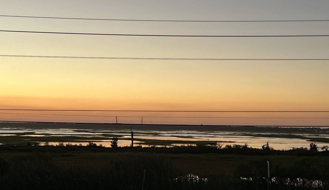 Salty Dog: South End Sunsets - Dog Friendly 2 short blocks to 42nd Street beach