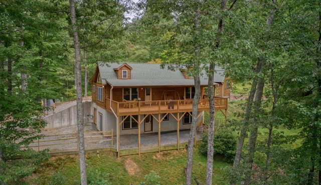 Saluda Cabin Home Amazing Mountain Views Pet Friendly- New Game Room!