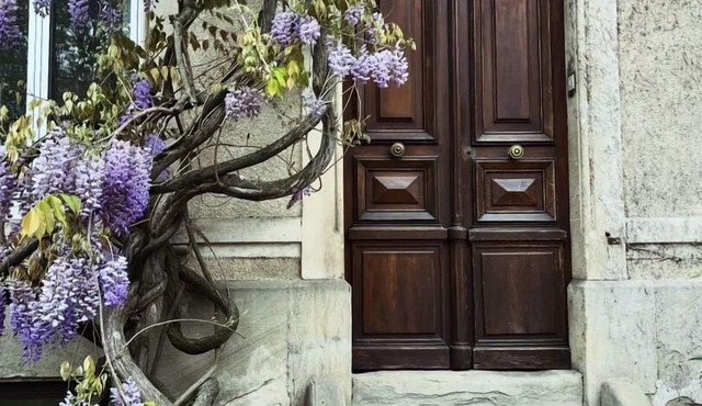 SalutBB Chambre d'hote