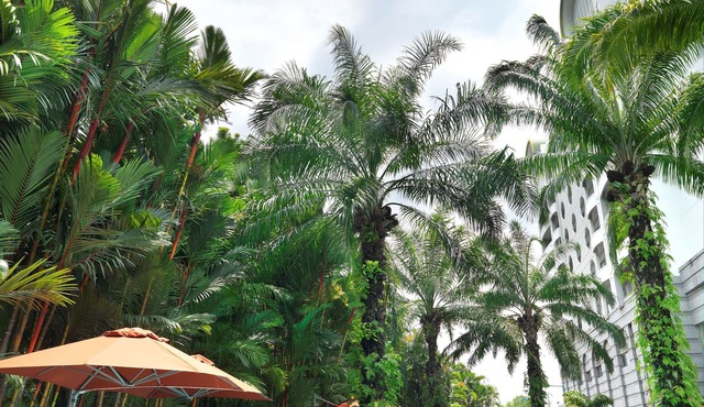 Sama-Sama Hotel KL International Airport