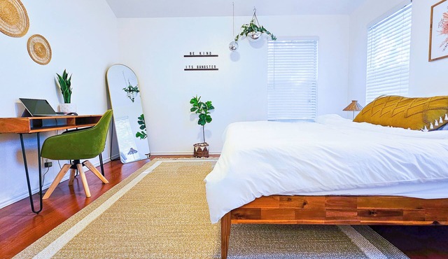 San Antonio Oasis | King Bed | Designer