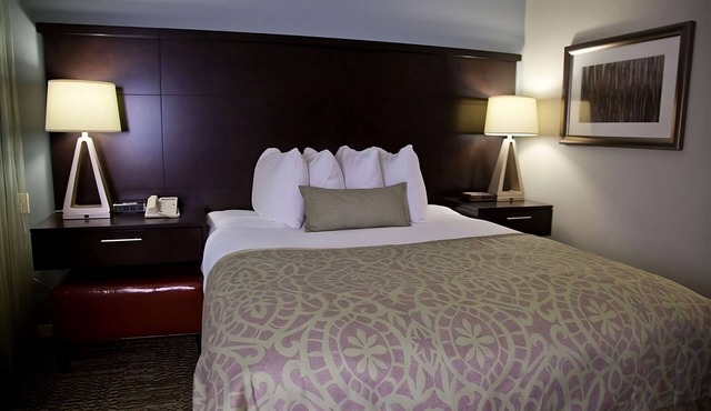 San Francisco Bay Area Vacay! 2 Pet-friendly Units, Free Breakfast, Full Kitchen