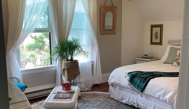 San Francisco Retreat. Steps from Golden Gate park ,Ocean beach, Downtown, shops