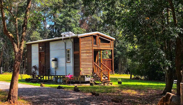 Sanctuary Cabin: Solo-Friendly Retreat w/Loft, Burner & Solar Power