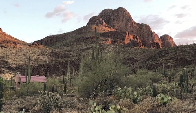 Sanctuary Cove's Guest Cottage is surrounded by 80 acres of pristine Desert.