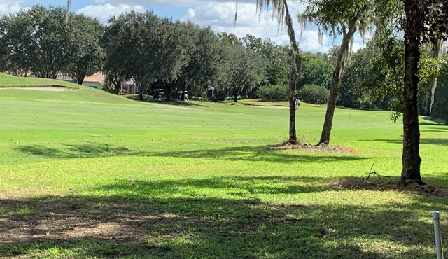 Sanctuary in The Sun!