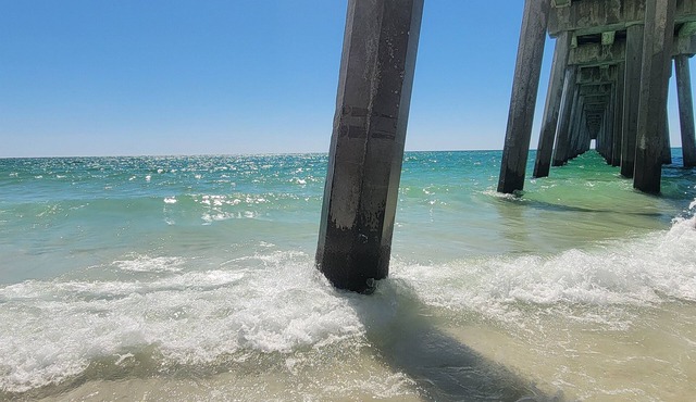 Sand Dollar 6mi-Pensacola Bch