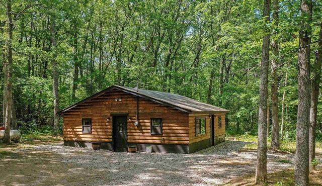 Sand Lake Log Cabin- Pets OK, Starlink Wifi, Smart TV, AC, Grill, Firepit