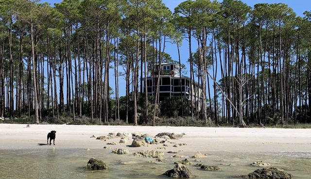 Sand Point South on Alligator Point