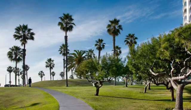 Sand & Surf In The Heart Of Santa Monica