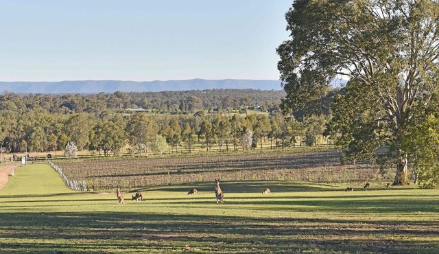 Sandalyn Estate Hunter Valley