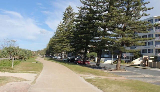 Sanderling - Unit 15