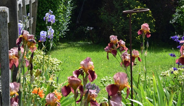 Sandhurst Farm Forge