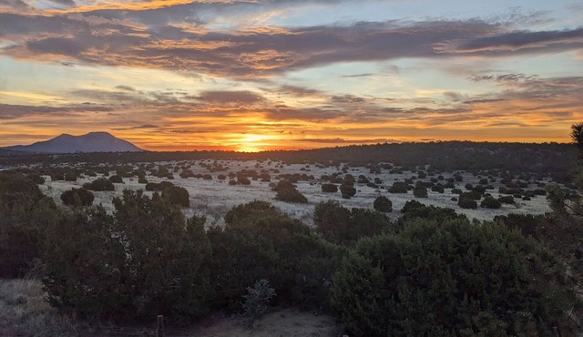 Sandia Serenity Mountain Ranch Home - 20 minutes from downtown Albuquerque.