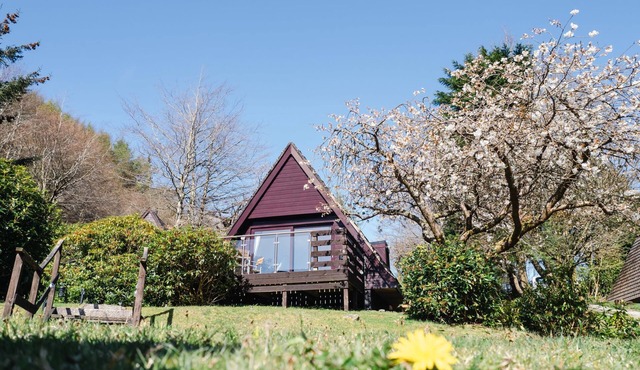 Sandpiper Lodge by Interhome