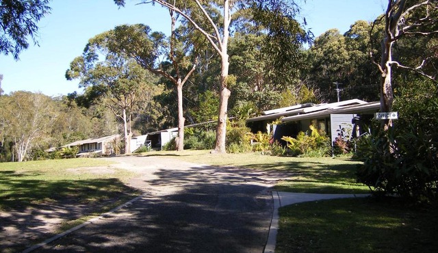 Sandpiper On Smiths Lake