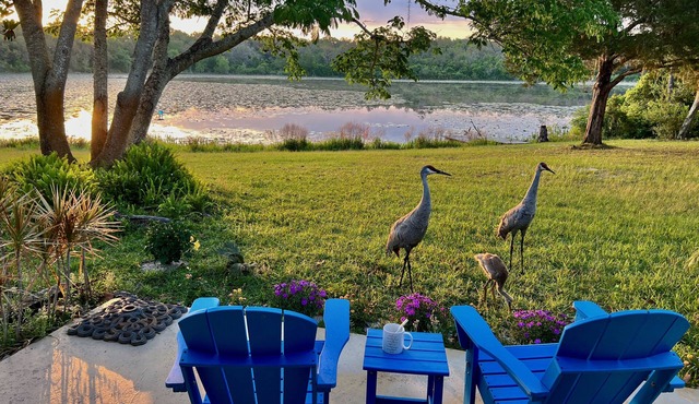 SANDY LAKES FARM - 40+ acre private retreat on Sandy Lake