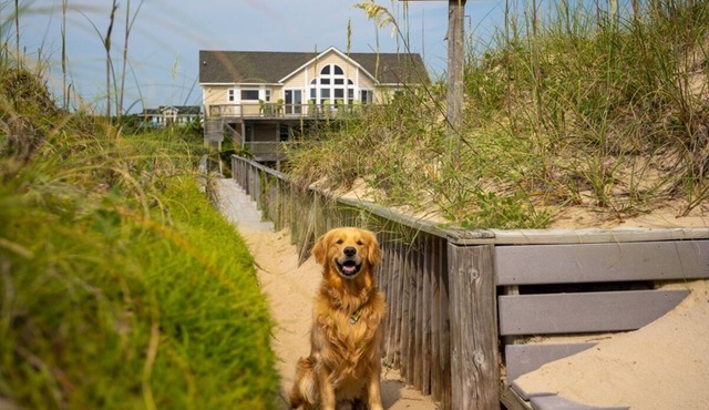 SANDY PAWS: Oceanfront w/dune walk. FREE pool heat for open Spring weeks! 4x4