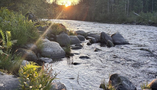 Sandy River's Hush, Cozy Cabin on 1.2 acres tucked above the Sandy River