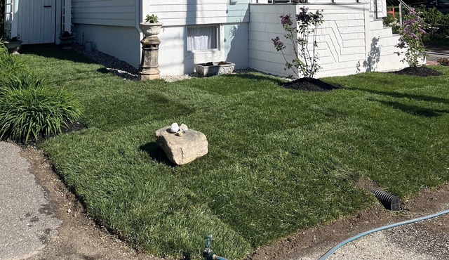 Sandy Seaside Cottage
