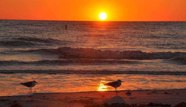 Sandy Shores Villa near Sieta Key and other beaches