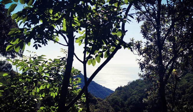Sans Murs Dans la Nature