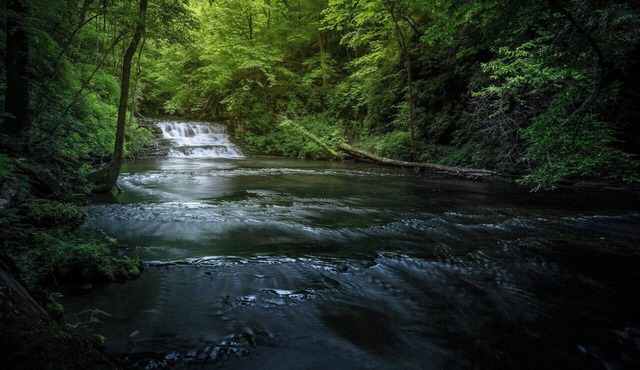 Santa Cruz Scotts Valley California Hotel Welcomes You