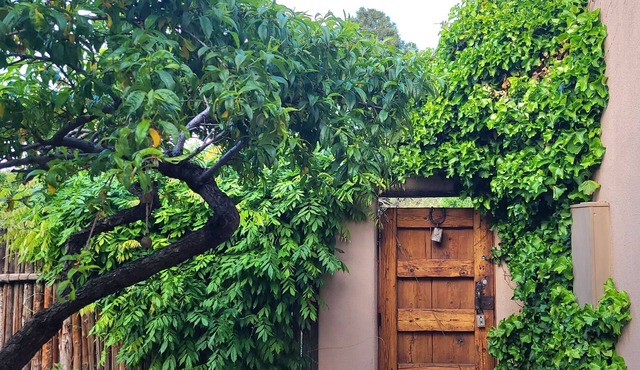 Santa Fe - Charming Home 2 Bed 2 Bath n - On a Park -
