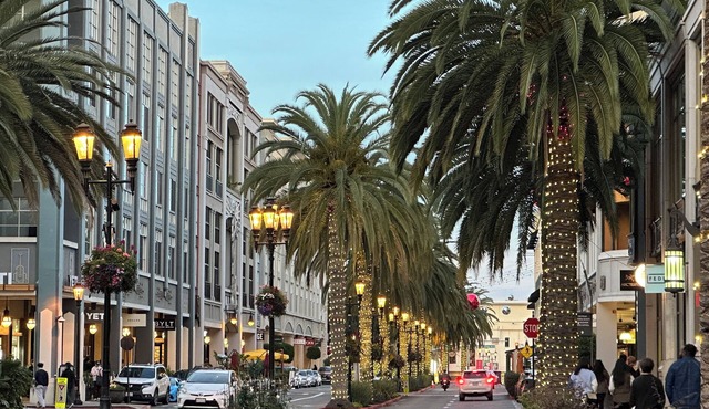 Santana Row Garden Retreat - Private Executive Residence