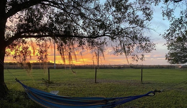 Sarasota Boho Farm House