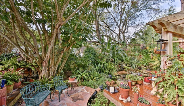 Sarasota Bungalow w/Pergola, Garden & Waterfalls!