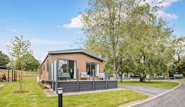 Saron 2.0 (Pet), Llandyrnog