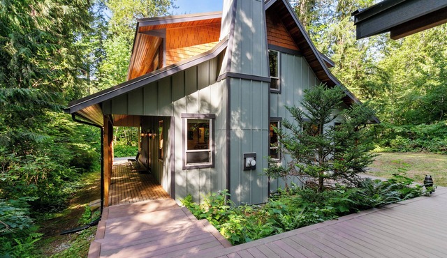 Sasquatch Mountain Hideaway, 3 Bed, 3 Bath W/Sauna, Hot Tub, Firepit & WiFi